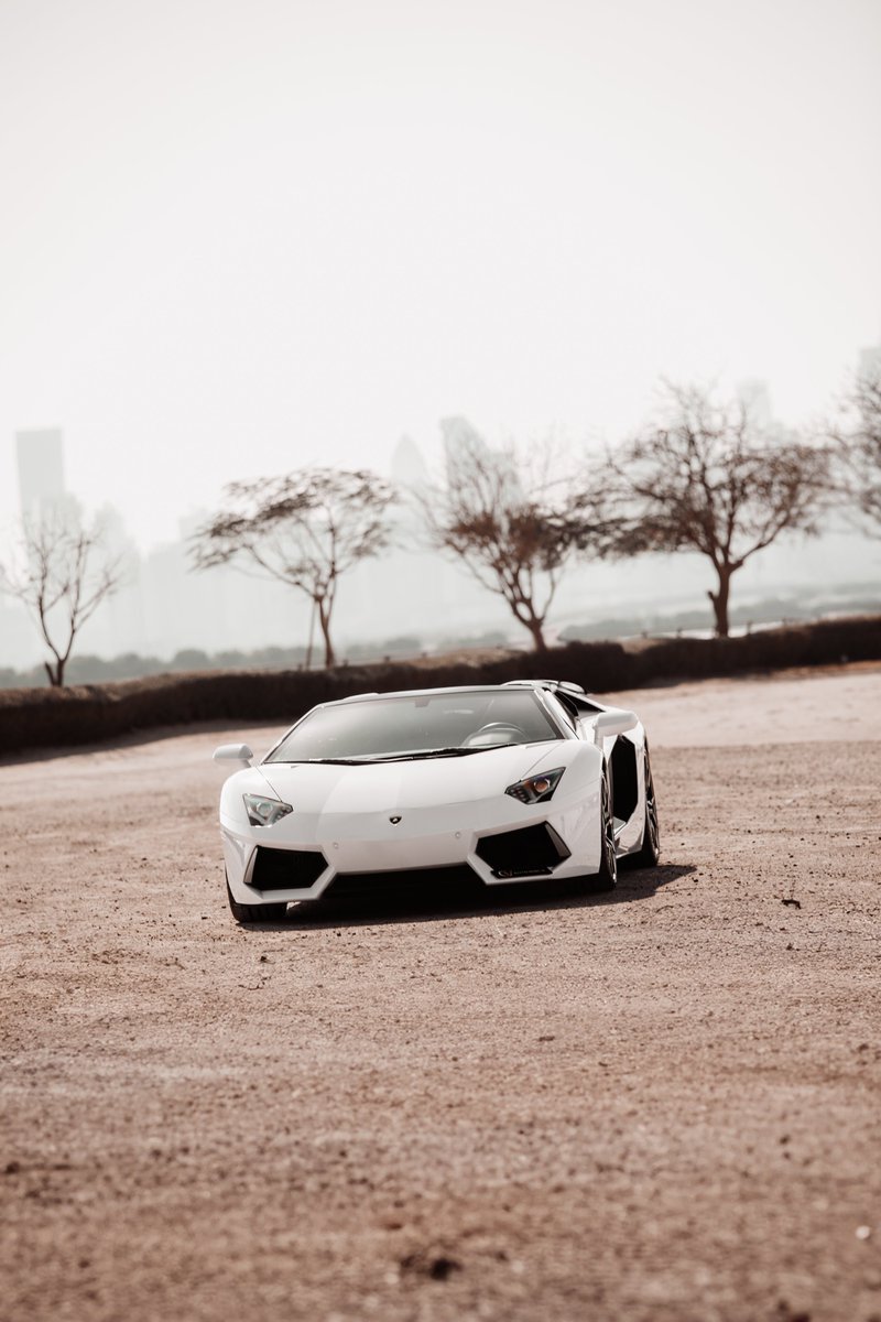 2013 LAMBORGHINI AVENTADOR ROADSTER
GCC Spec | 11,377 kms

__________

#cvauto #dubai #premiumcars #dubaicars #lambo
#Lamborghini #Aventador #PurePerformance
