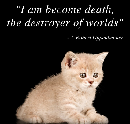 OppenCat (@oppencat) on Twitter photo 