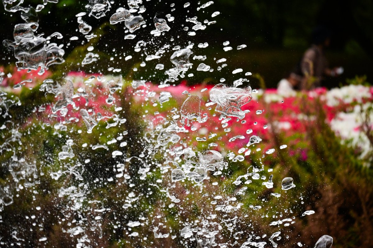 公園の噴水をSS 1/4000秒で撮ってみました
水滴がこんなに複雑で美しい形をしているとは知りませんでした
#4000分の1秒の世界
#水滴　#waterdrop