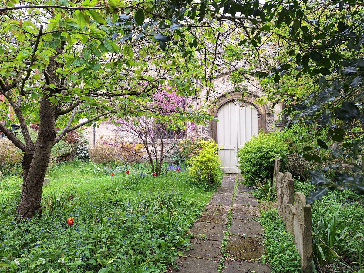 A beautiful churchyard with blossom and lots of wildlife. Tranquillity and nature in a mini urban oasis. 

#churchyard #blossom #blossomwatch #urbanoasis #historicbuildings #historicchurch #wildlife