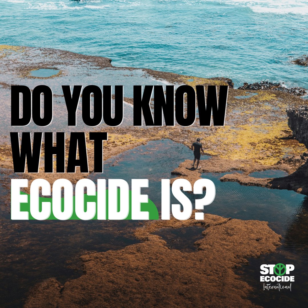 The wide-spread, long-term destruction of the natural world is called #ecocide. We believe it should be an international crime. Don’t you? If you are in a position to, you can donate TODAY + whatever you give will be DOUBLED: donate.biggive.org/campaign/a0569… #StopEcocide