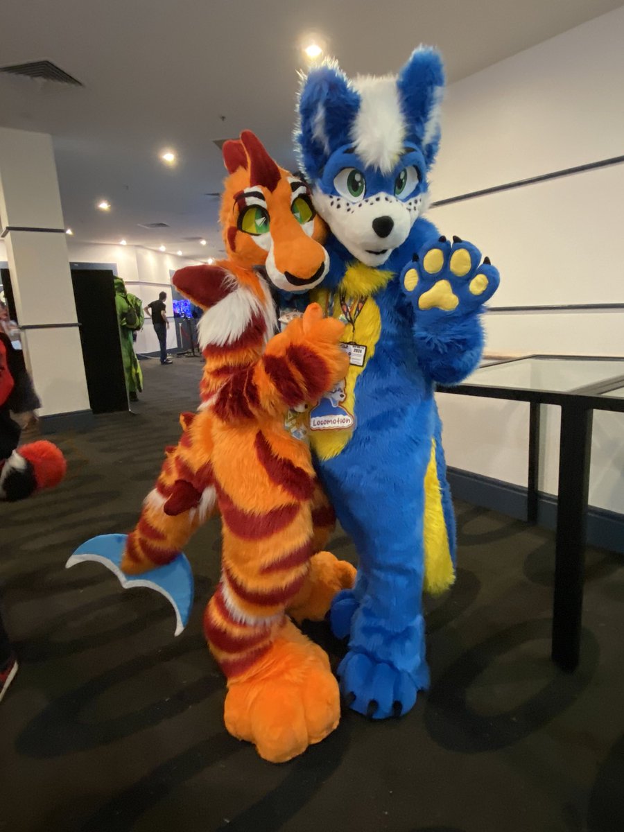 Furdu 2024 Day 3 | 6/6
Photos with Fursuiters 

#furry #fursuiting #furries #FurDU2024