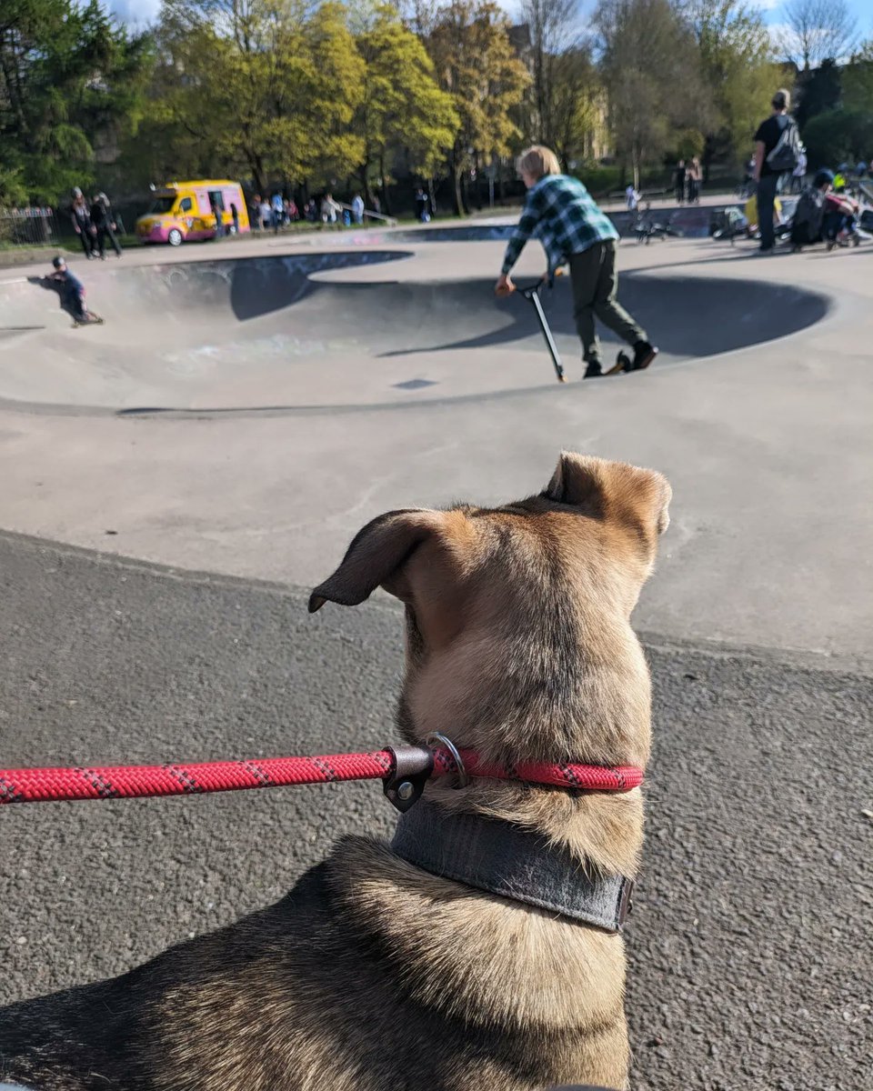 silver_pillows tweet media