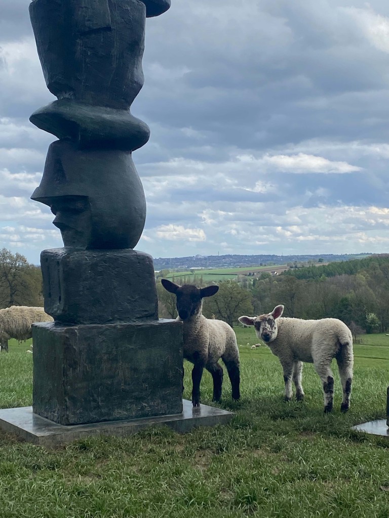 Henry Moore liked his sculptures to be seen with sheep as he felt they were the right size to show their scale. We're loving watching this year's lambs investigating the sculptures, just as Moore intended. Henry Moore, Upright Motive no.7, 1955–6. Courtesy of Tate @HenryMooreFDN