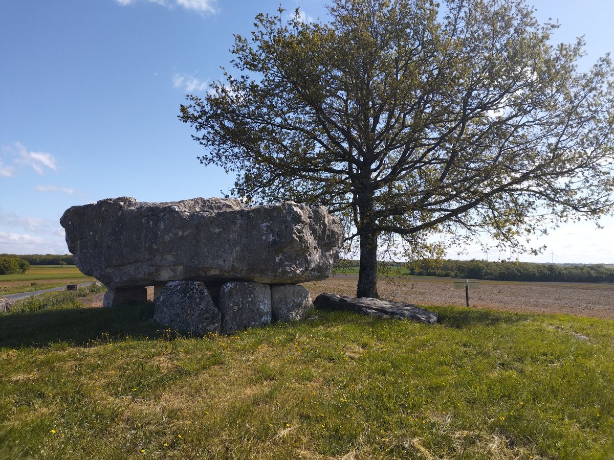 Rando VTT ce matin avec les copains, départ fontclaireau.
J'ai croisé quelques grosses pierres <a href="/bubu1664/">Buard Vincent🇫🇷👨‍🌾🌻🌽🐞🐝</a> que tu dois bien connaître 😉