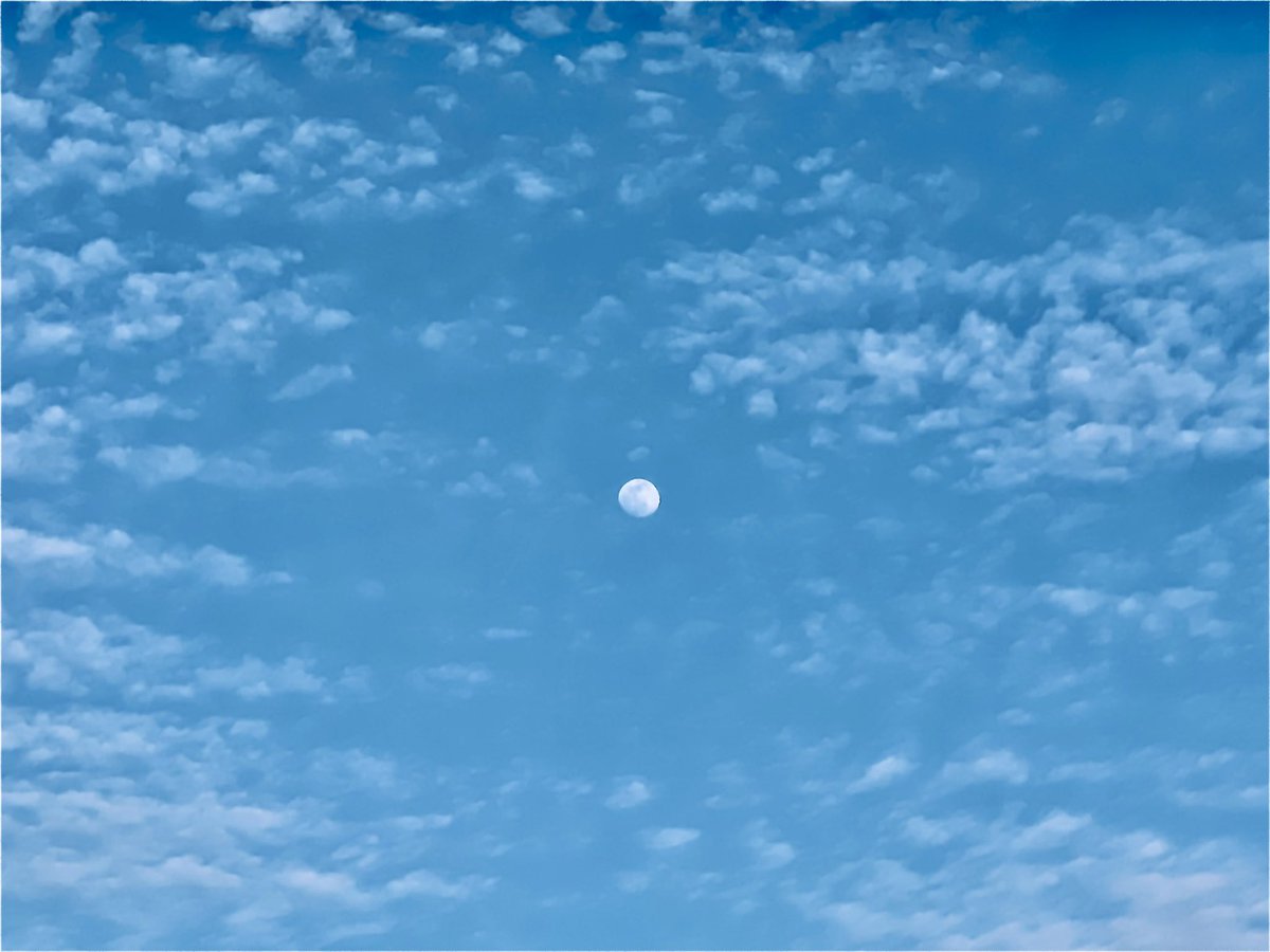 𓈒 𓏸 𓐍  𓂃 𓈒𓏸 𓂃◌𓈒𓐍 𓈒　　　

　　　絵の具で描いたような

　　　　　　　雲と月

　　　　　　　　　𓈒 𓏸 𓐍  𓂃 𓈒𓏸 𓂃◌𓈒𓐍 𓈒

#iPhone13Pro 
#photograph 
#キリトリセカイ