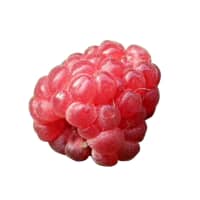 Microglial Protection
Polyphenol & anthocyanin-enriched extracts of blackberry help protect the brain’s microglia. Microglia are a type of glial cell located throughout the brain and spinal cord.