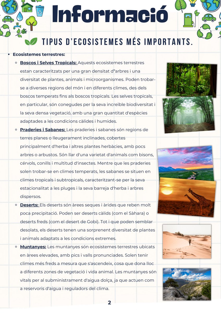 En esta ocasión os comparto la Taxonomía de Bloom con la que trabajamos los ecosistemas terrestres a través de su correspondiente ODS. #claustrovirtual #ideasparaclase #ods #proyectos #TaxonomíadeBloom <a href="/LAURADULCINEA/">dulcinea del toboso</a> 
Disponible en castellano y catalán. En el 🧵 explico contenido