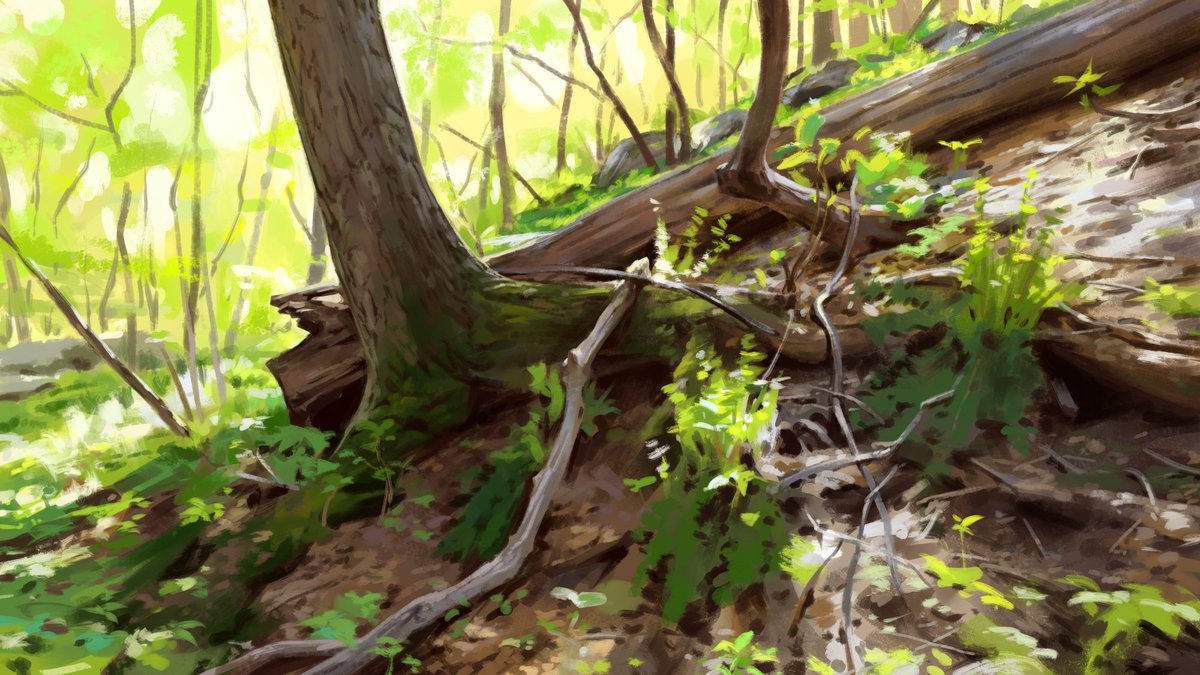 noahbradley's tweet photo. also paint woods, losers https://t.co/BDZ2RWqNA7