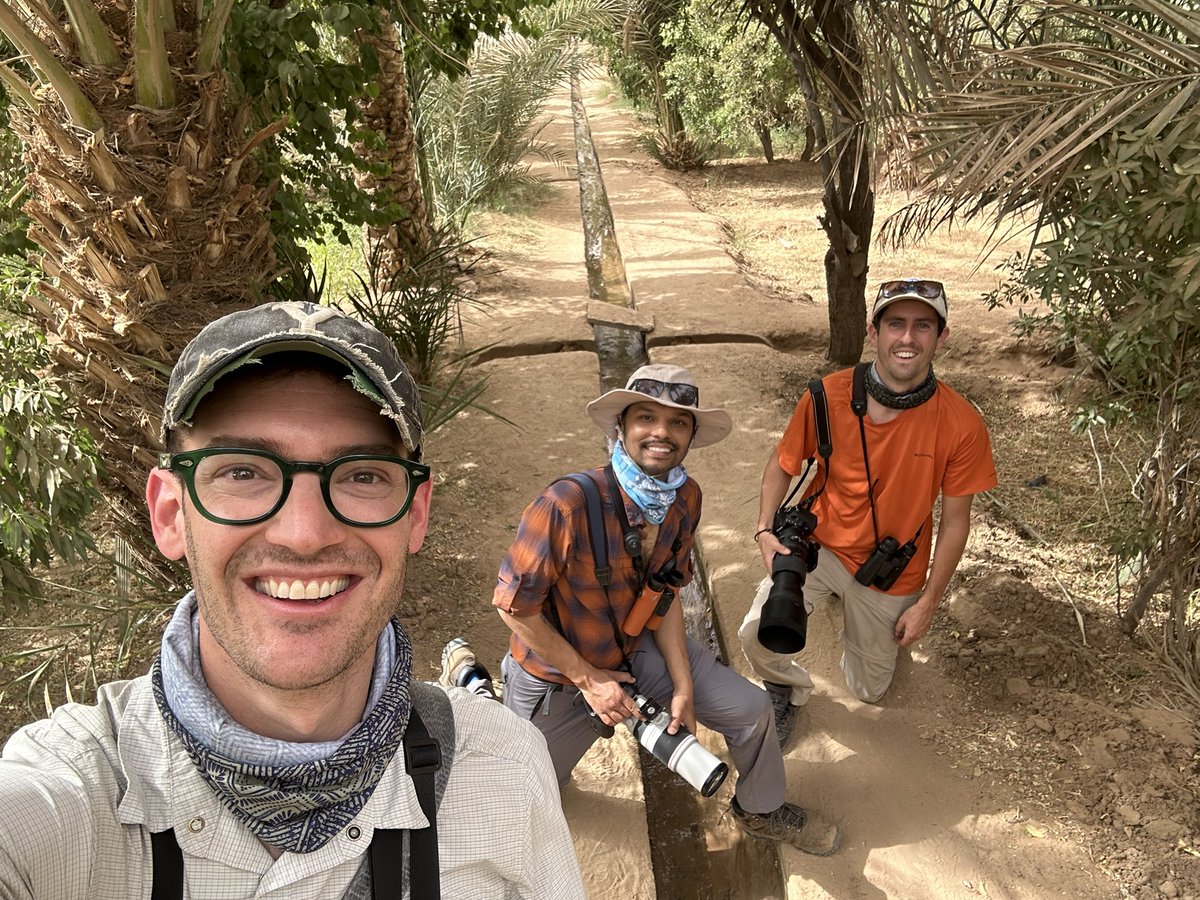 Great birding in Morocco with CCI folks! 152 species of birds observed so far with 63 new species for my lifelist!