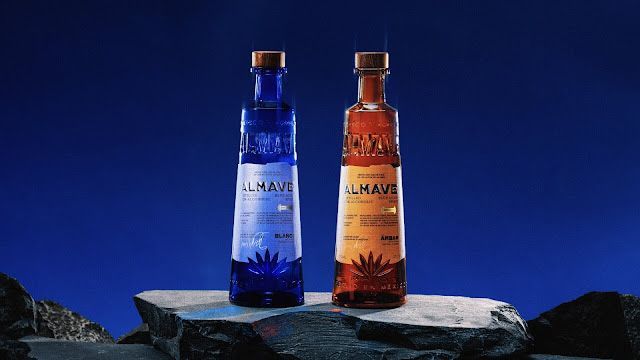 Sip Away The Summer With Almave Ámbar! Find Our Review Here…

buff.ly/3QdY8Up

#blogging #bloggers #blogger #bloggerchat #bloggersrequired @_TeamBlogger #influencer #influencers