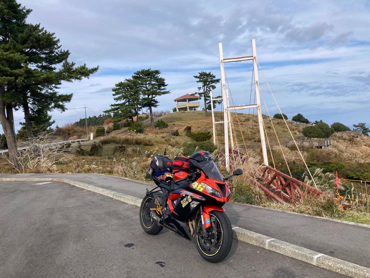 筋通しまｼｮﾔ tweet media