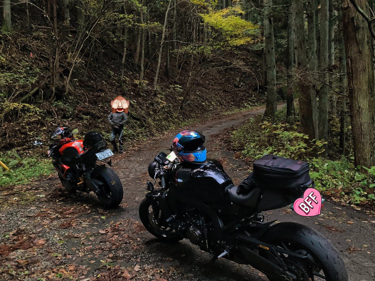 筋通しまｼｮﾔ tweet media