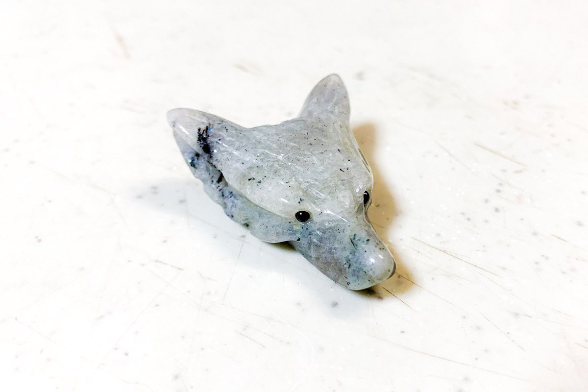 🐺🐕✨ 