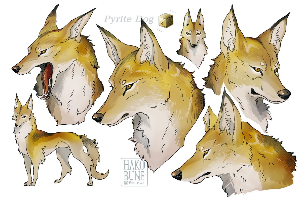 🐺🐕✨ 
