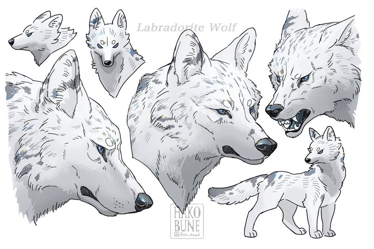 🐺🐕✨ 