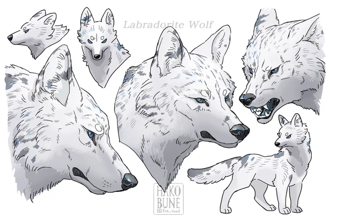 🐺🐕✨ 