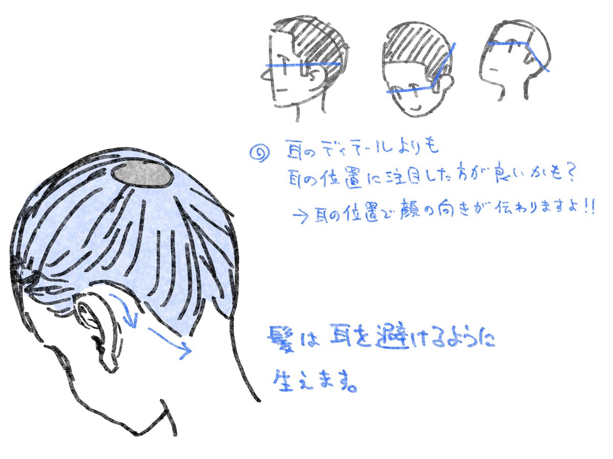 耳を描くときに役立つメモ📝 