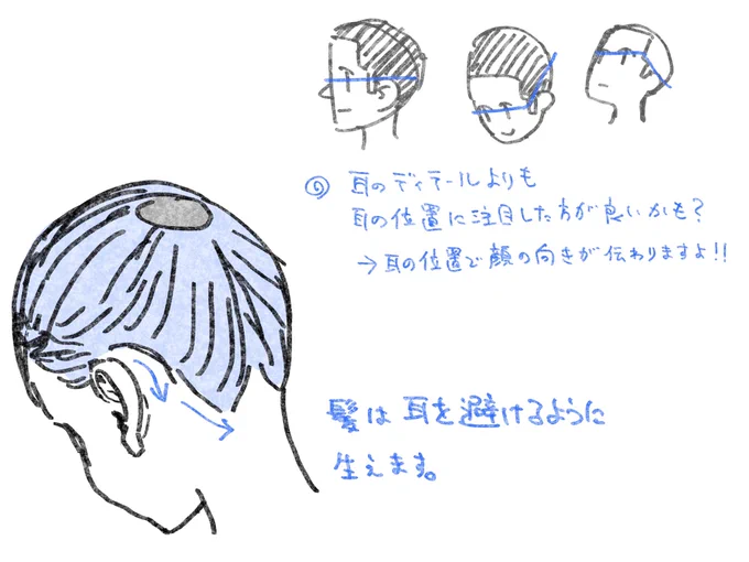 耳を描くときに役立つメモ📝 