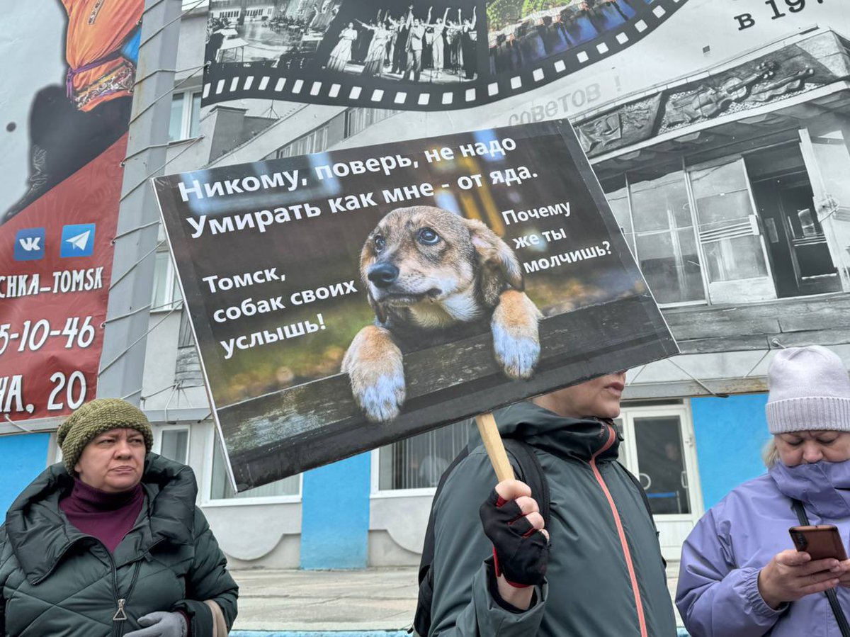 В Томске зоозащитники вышли в массовый пикет за гуманное отношение к бездомным животным. Около 50 человек вышли сегодня в пикет в гайд-парке на площади перед ДК «Авангард» против убийства бездомных животных и за гуманное отношение к ним.