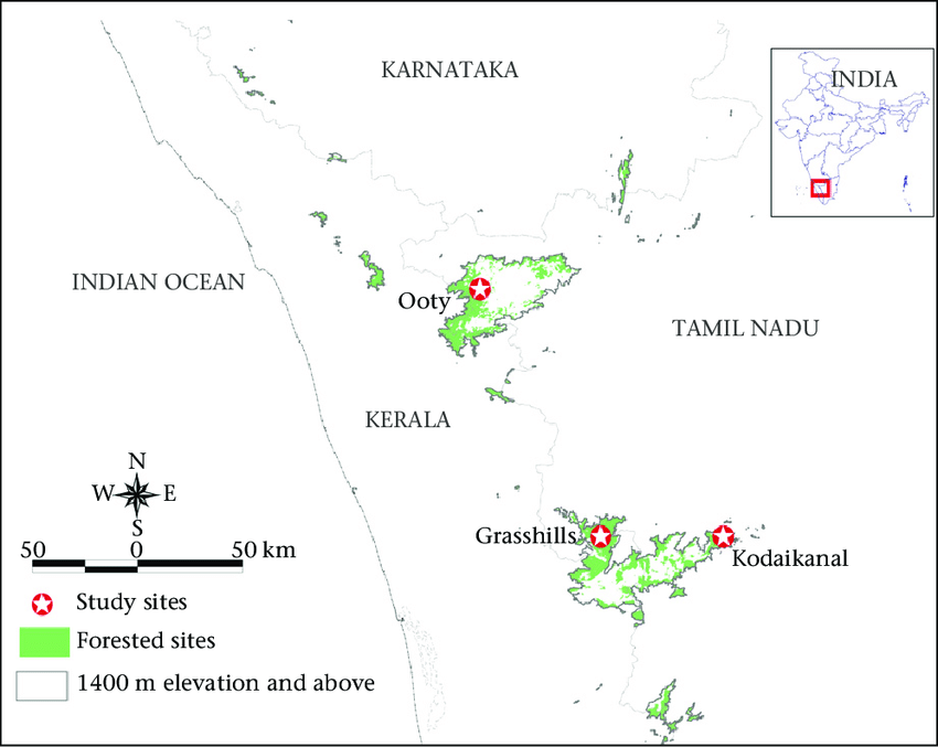 These high altitude part of the Nilgiris district forms the sky islands. Due to higher altitude, they have a unique climate and environment that leads to very unique plant and animal species in these regions that is different that surrounding region, forming a sky island