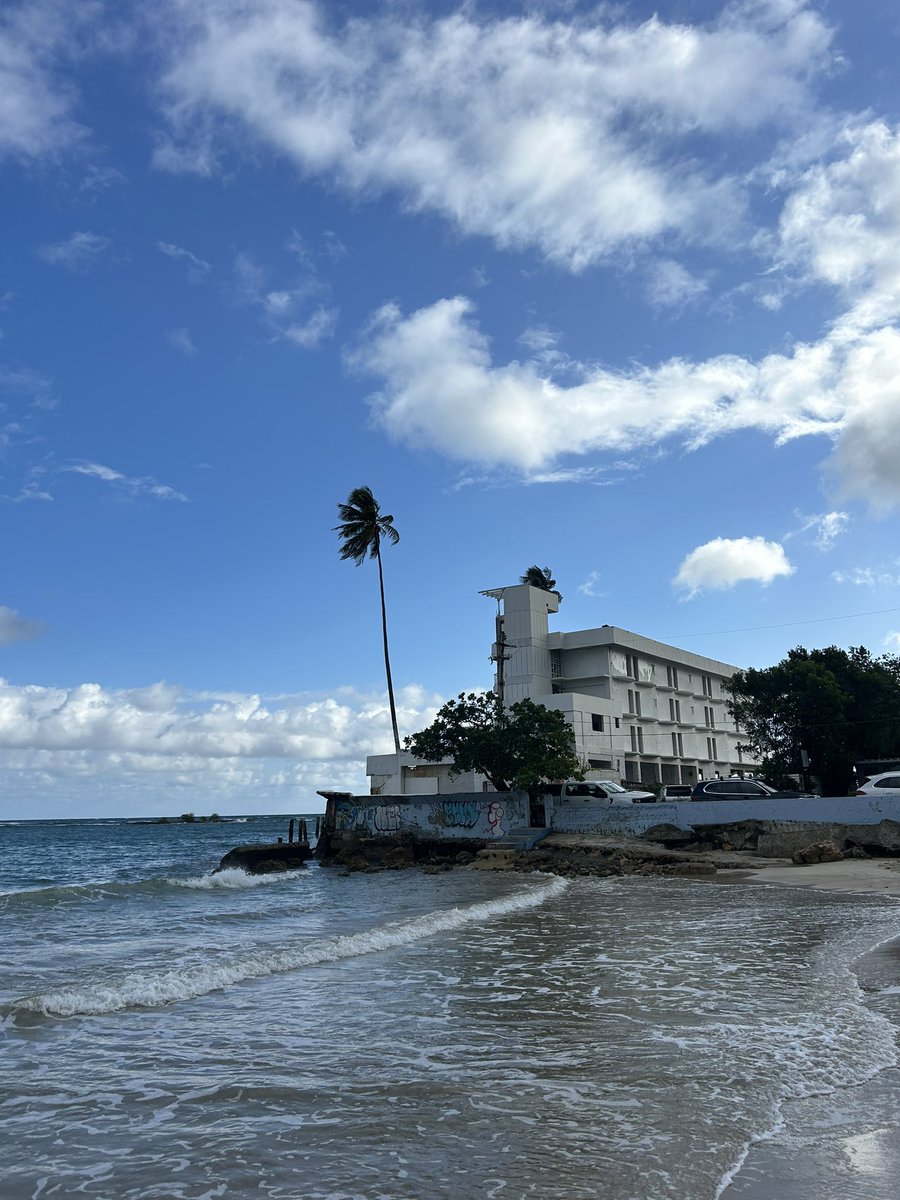 Sunflower_Stays's tweet photo. Every visit Iβm certain this beautiful property will have been renovated. It would be the perfect boutique hotel. Kimpton? Who wants to help me make this a reality? #kimpton #ihg #ihghotels #botiquehotel #islandlife #beachfront #PuertoRico #SanJuan #IslaVerde #airbnb https://t.co/OJyof3jkng
