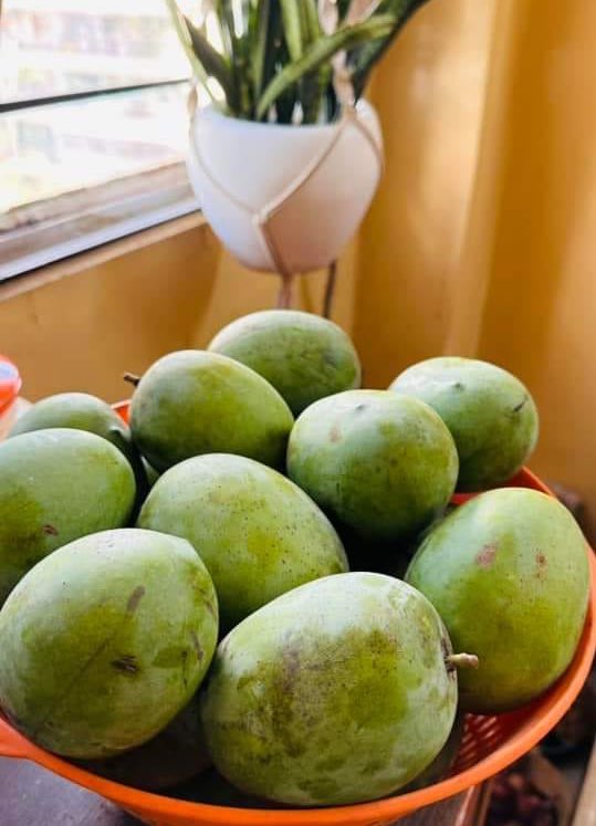 जिसका हम सभी को है इंतेजार 😍

#mangolove 
#mangoseason
#mango