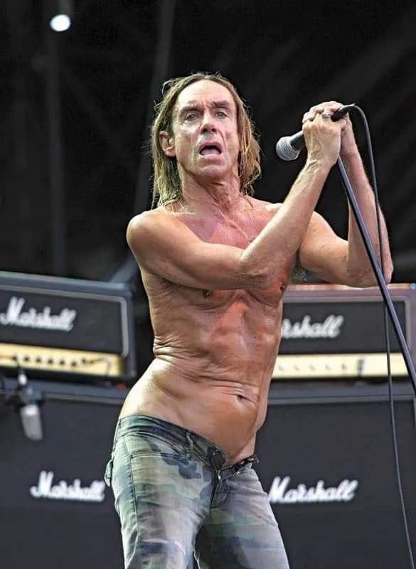 Iconic! 🎸🎶 Happy birthday Iggy Pop (77) April 21, 1947 🎷🎶🎸