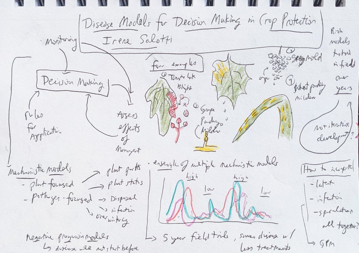 Nice talk by @IreneSalotti on how they've been using disease modeling for decision support systems in several crops in Italy #IEW13 #sketchnotes