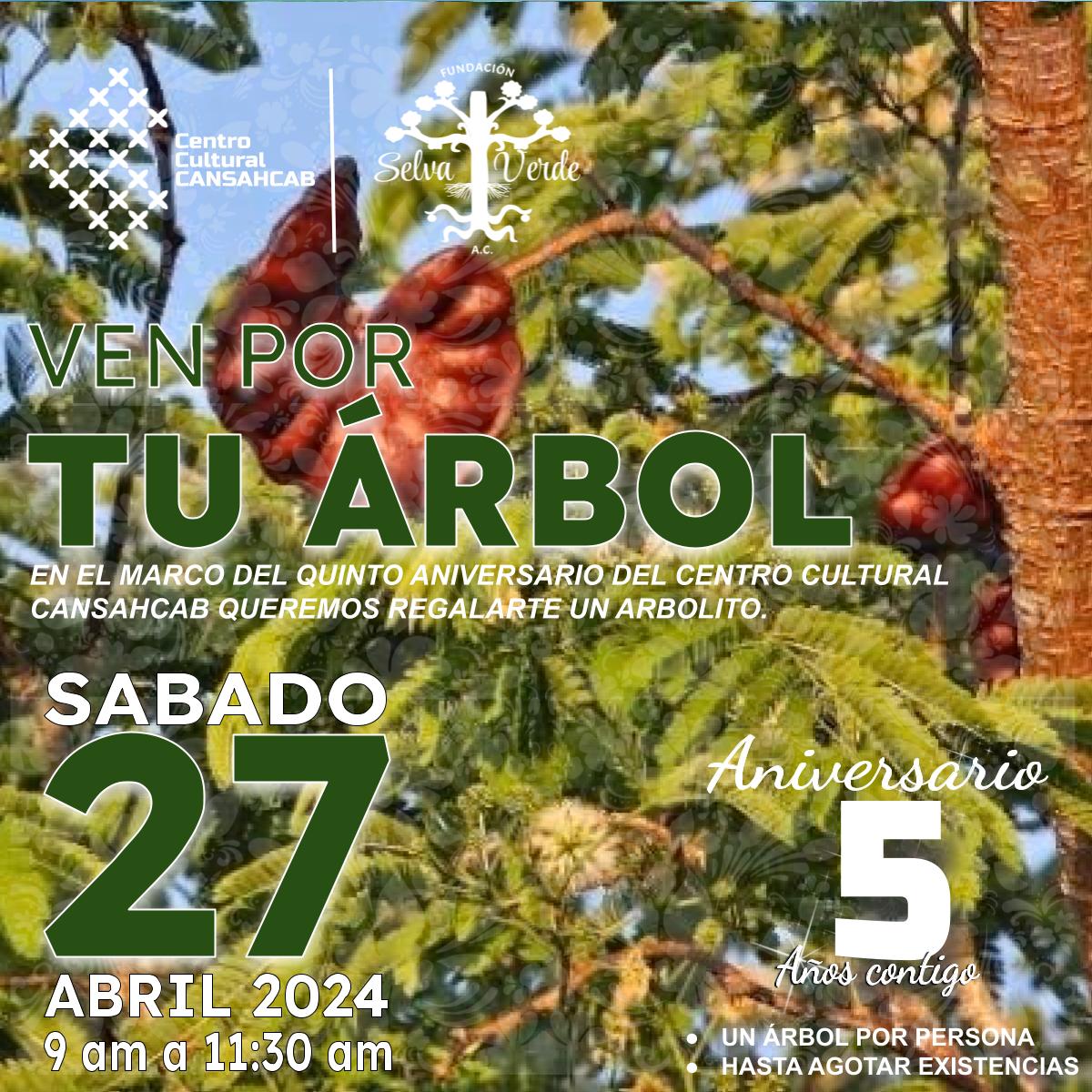 CansahcabCC's tweet photo. ¡La semana está aquí! En 6 días estaremos regalando árboles en el Centro Cultural Cansahcab. Ven y adopta un árbol para hacer del mundo un lugar más verde. 🌍💚 #AdoptaUnÁrbol #photooftheday #instagood #follow #repost #lifestyle #love #happy #ecologico #eco #nature https://t.co/TGDnMLtkCd