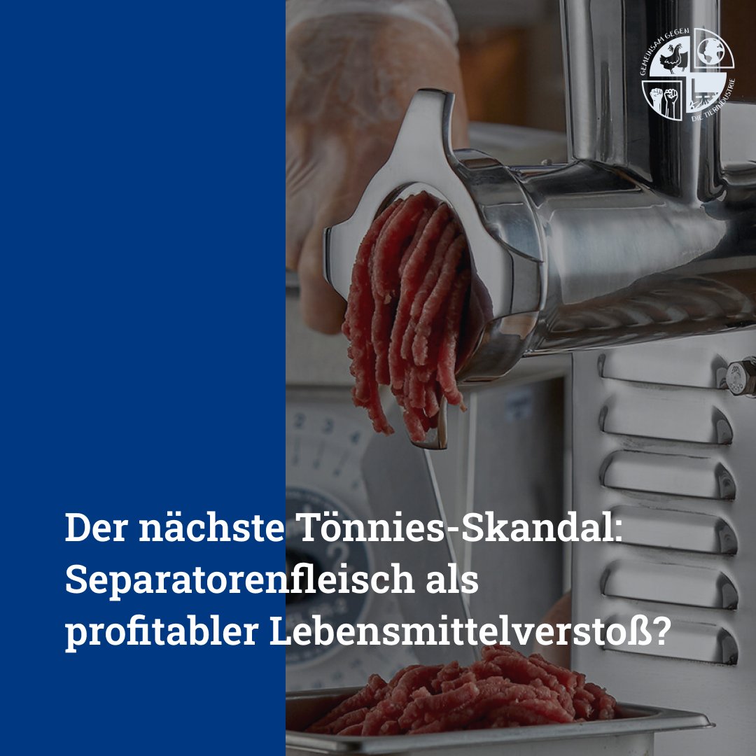 Mischt #Tönnies seinen Wurstwaren minderwertiges #Separatorenfleisch (ein Gemisch aus Fleischresten, Sehnen, Knorpeln & Bandscheiben) unter?
Diesen Verdacht erhebt das ZDF-Magazin 'Die Spur'. Die Verwendung würde über ein undurchsichtiges Netzwerk von Zulieferern vertuscht. (1/2)