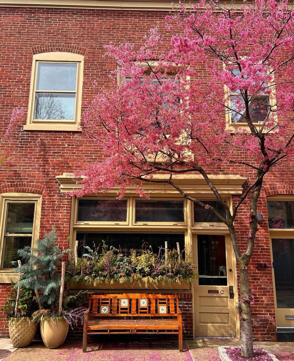 Spring, you've outdone yourself with these cozy street vibes. 🌸🌷
#visitphilly #explorephilly #phillyspring 

📸: phillyfeeling and secretphiladelphia on IG