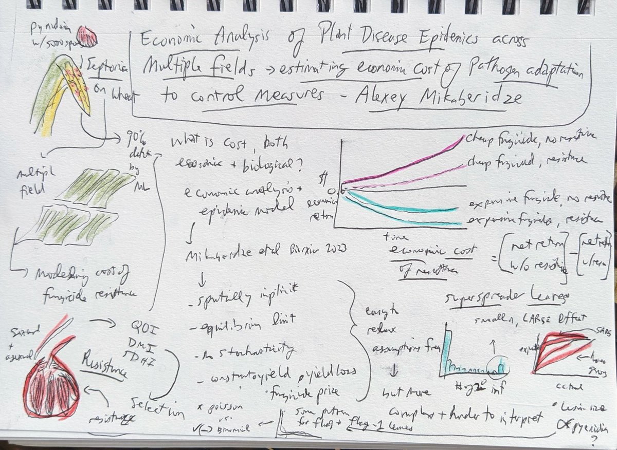 Nice work by @MikabAley on how they've been assessing the economics of fungicide use in wheat fields in Europe, plus a VERY cool and thought provoking work on how some leaves may function as super spreaders for outbreak by hosting an abundance of pycnidia #IEW13 #sketchnotes