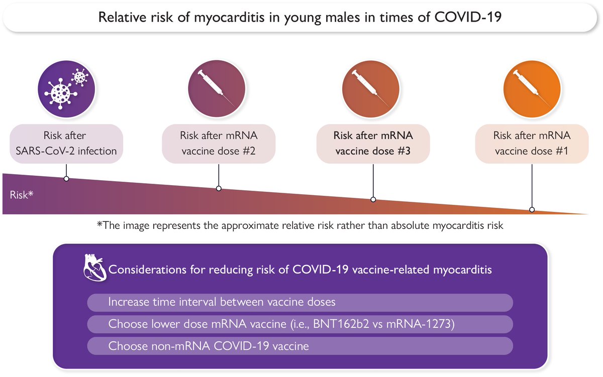 Third time’s a harm? Cardiac risk of SARS-CoV-2 mRNA booster vaccines in younger men: Read this Editorial in the latest issue of #EHJ: academic.oup.com/eurheartj/arti… #COVID19 #vaccine #young #CVD @escardio @ESC_Journals