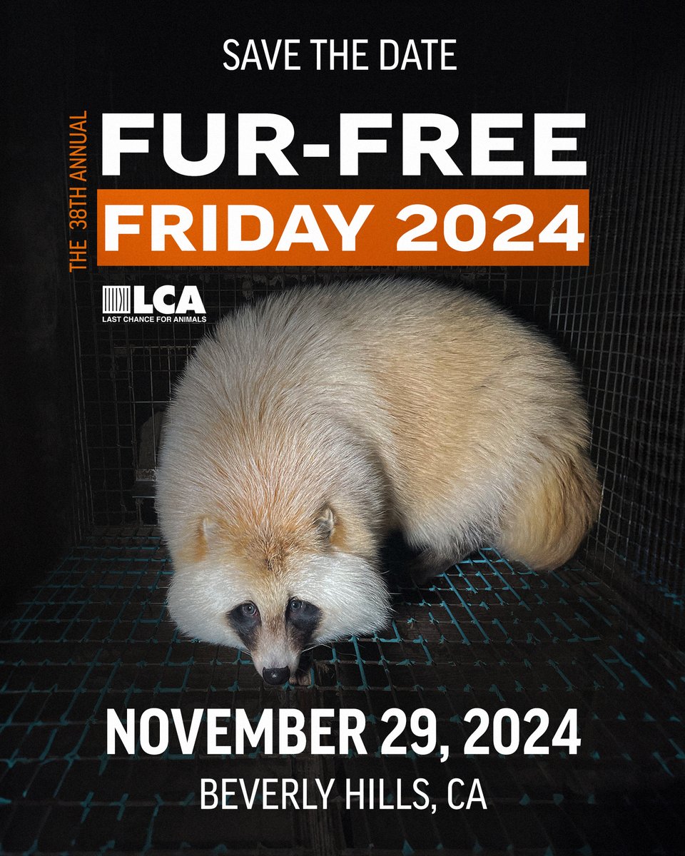 🦊 Mark your calendar for Fur-Free Friday 2024! Need help getting started? Contact campaigns@lcanimal.org LCA for questions or if you need material. #FurFreeFriday #FurFreeFriday2024