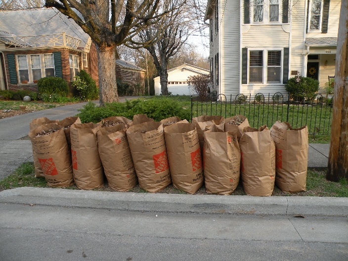 #Whitpain residents who live on the south side of Skippack Pike will have leaves/yard waste collected tomorrow and residents north of Skippack Pike will have leaves collected Wednesday. Leaves and yard waste must be placed in biodegradable paper bags and put at the curb.