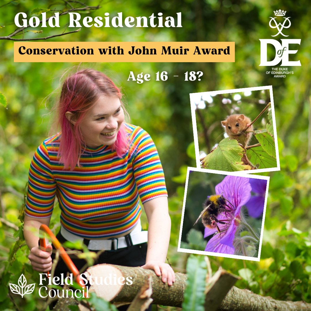 #Conservation with #JohnMuirAward #GoldResidential for those aged 16-18 years old.. Spend a week immersing yourself in nature, making new friends and learning new skills.🌿 27th - 31st May. @prestonmontford @fscnettlecombe 👉Book now ow.ly/rws750RjIei #DofEResidential