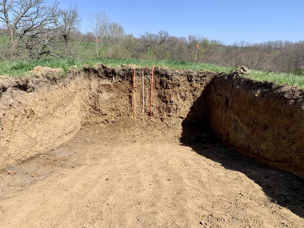 M.C. Ricker 🐲 tweet media