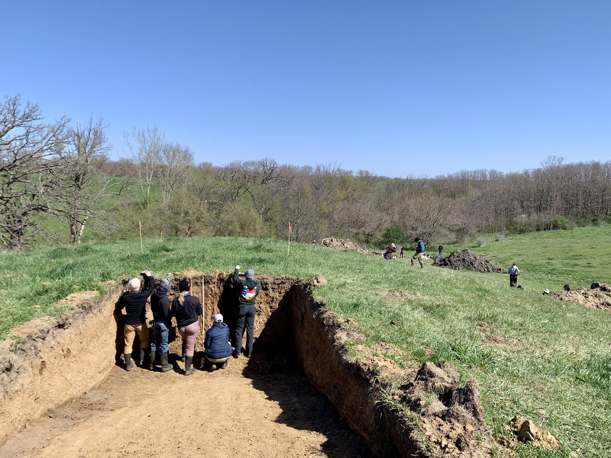 M.C. Ricker 🐲 tweet media