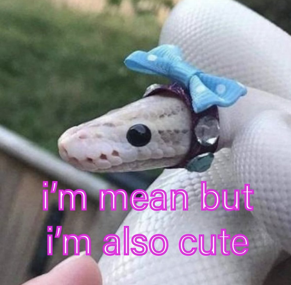 The Notorious J.O.V. (@whotfisjovana) on Twitter photo 