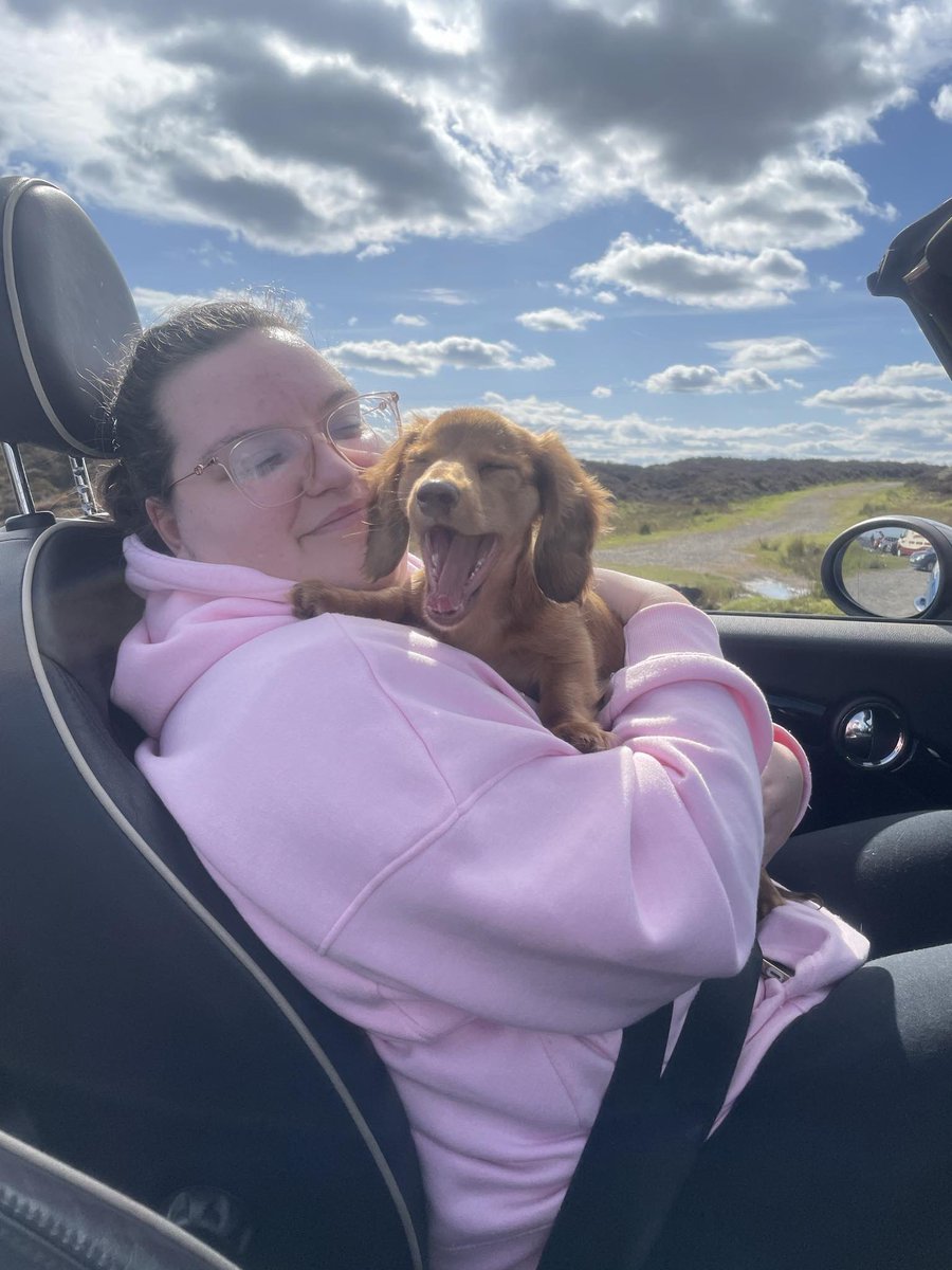 My girls Claudia &amp; Hazel pup 💕💕#miniaturedachshund #PuppyoftheDay