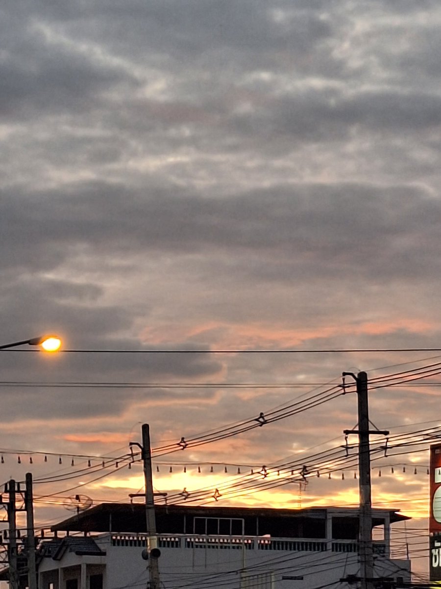 kanemoto tweet media