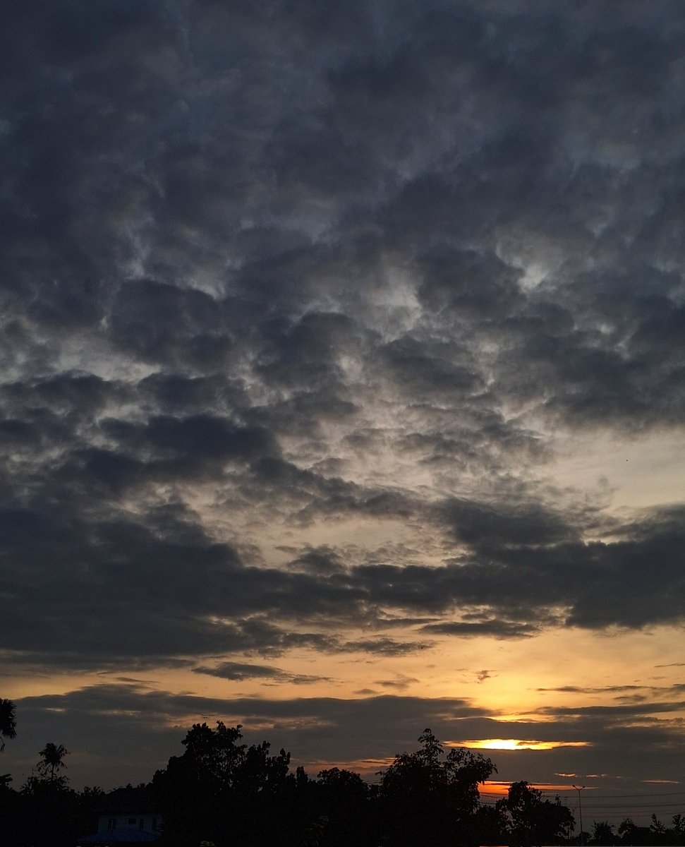 kanemoto tweet media