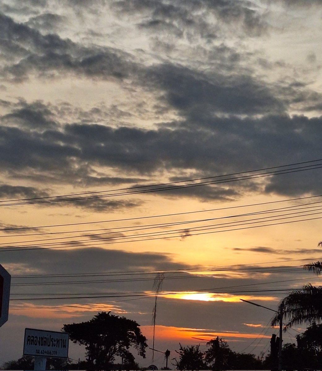 kanemoto tweet media