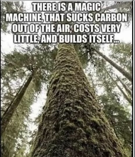 #PeriklesDepot #MAGA #AmericaFirst #Trump2024 🌹 TELL the W@KE, more C02 causes more vegetation to Grow, which removes more CO2 from the air !! 💥 God had a plan !