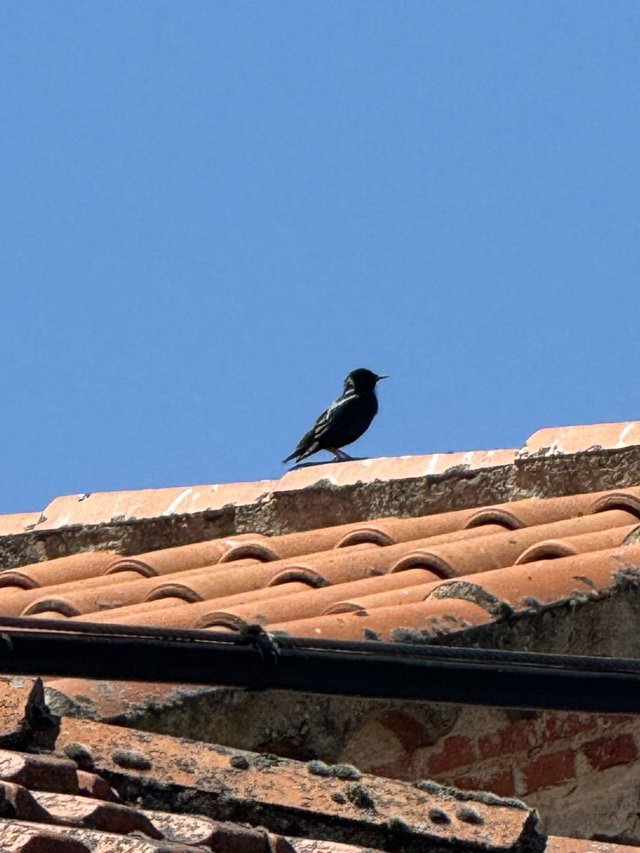 Santos Marcos Martin (@santiguri) on Twitter photo 