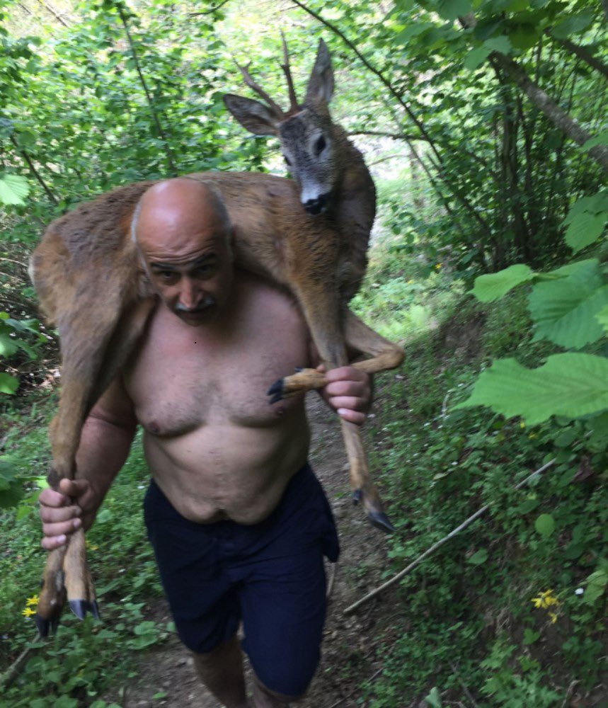 Samsun'da dereye balık tutmaya giden bir grup arkadaş, köpekler tarafından saldırıya uğramış geyiği, sırtlarında 2 kilometre boyunca taşıyarak tedavisi için yetkililere ulaştırdılar.