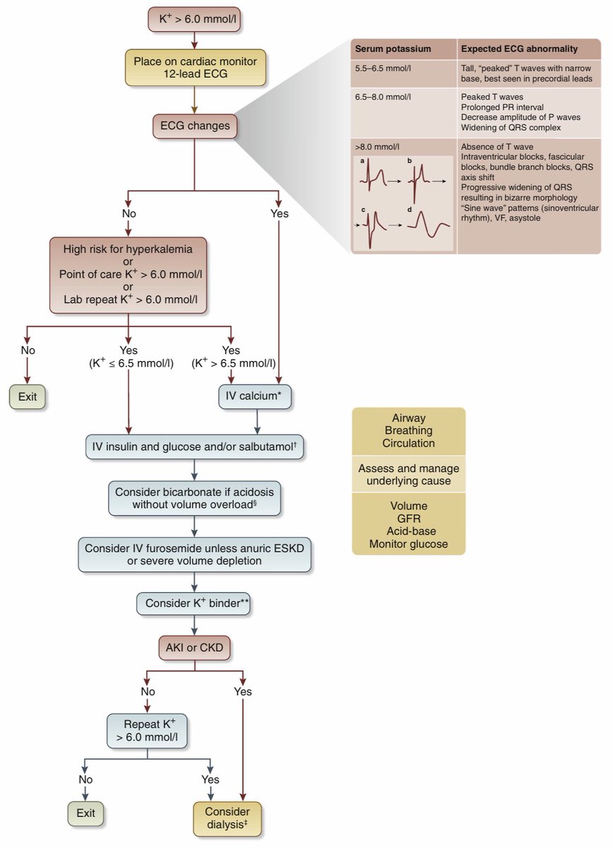 🔴 Hyperkalemia - Management Algorithm and ECG changes kidney-international.org/article/S0085-…