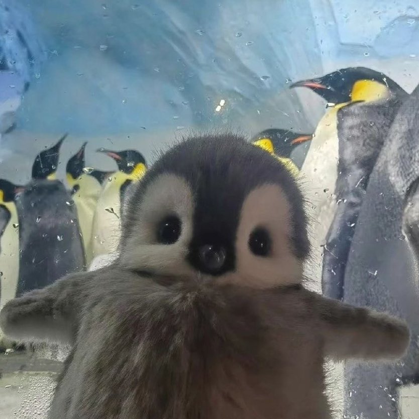 just realized little cirrus is basically a baby penguin