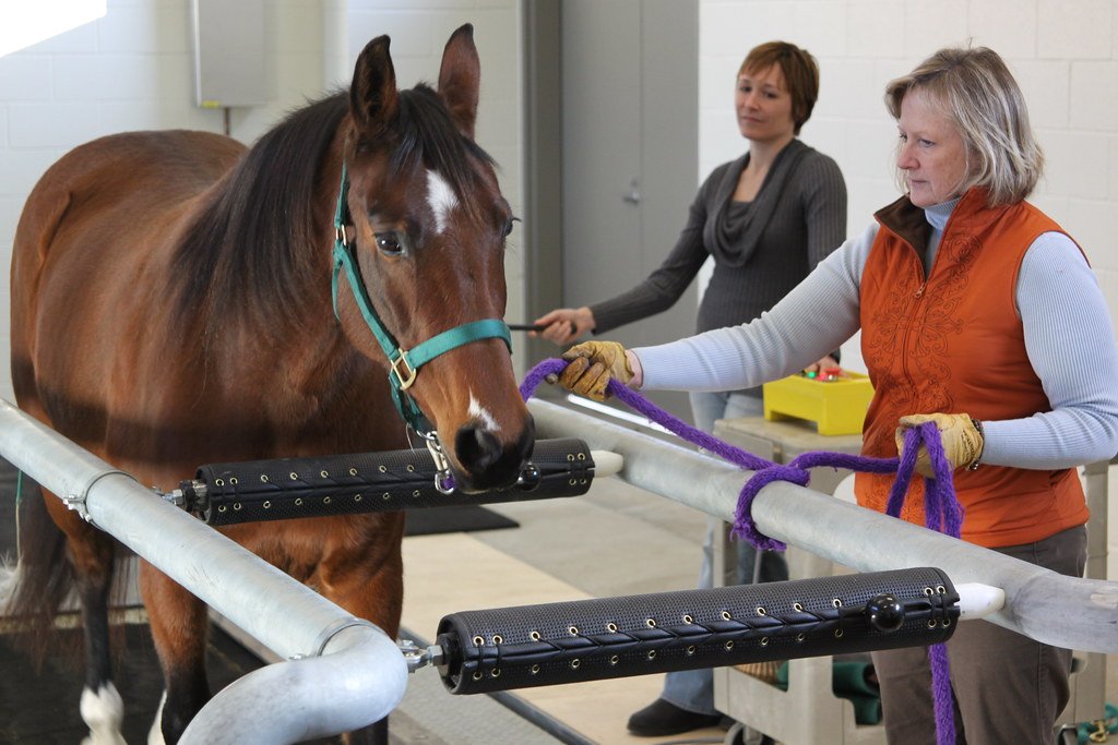 Since 2006 when it was first developed, @JockeyClub’s EID has been an influential resource that has progressively shaped the landscape of the horse racing industry for the better. horseracing-facts.com/2024/04/the-st…